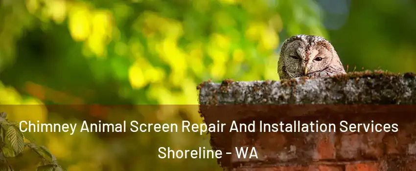  Chimney Animal Screen Repair And Installation Services Shoreline - WA