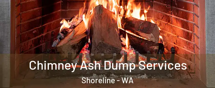  Chimney Ash Dump Services Shoreline - WA