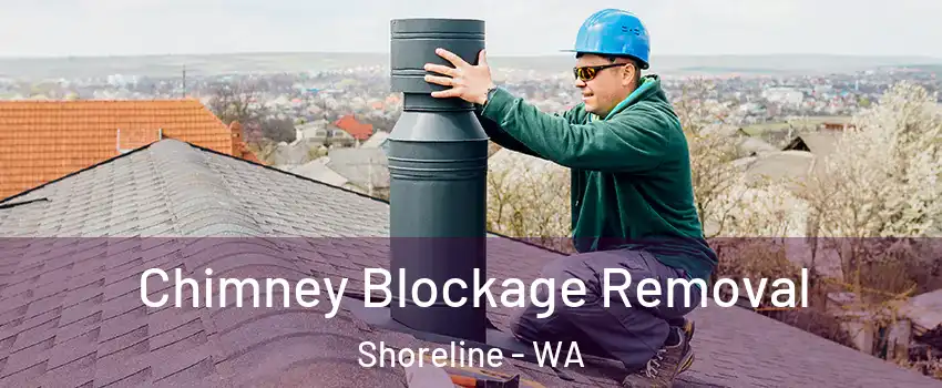  Chimney Blockage Removal Shoreline - WA
