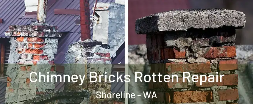  Chimney Bricks Rotten Repair Shoreline - WA