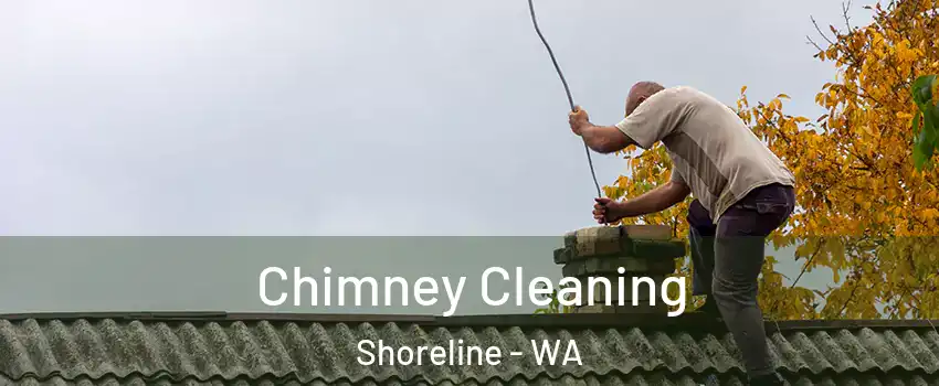  Chimney Cleaning Shoreline - WA