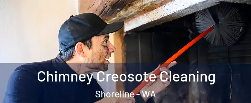  Chimney Creosote Cleaning Shoreline - WA