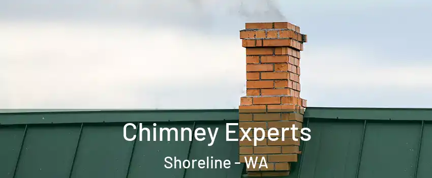  Chimney Experts Shoreline - WA