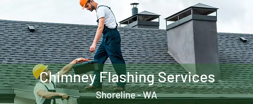 Chimney Flashing Services Shoreline - WA
