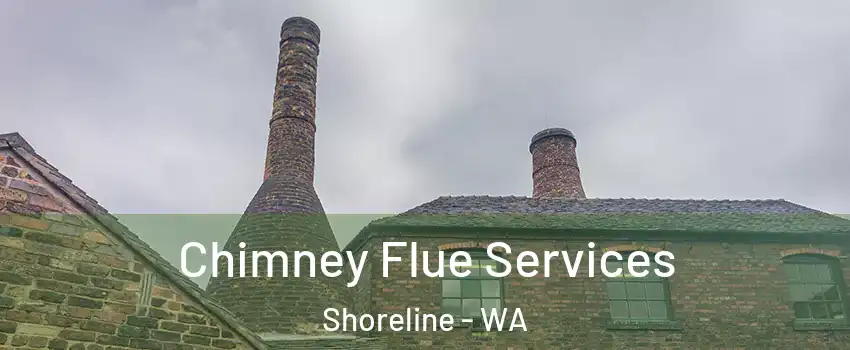  Chimney Flue Services Shoreline - WA