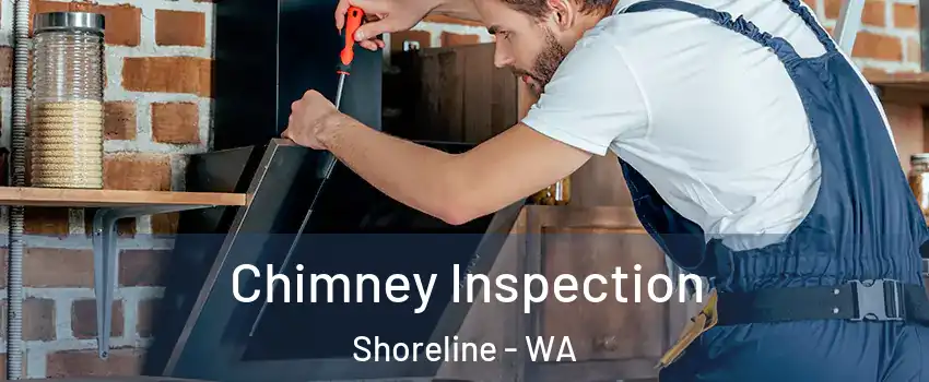  Chimney Inspection Shoreline - WA