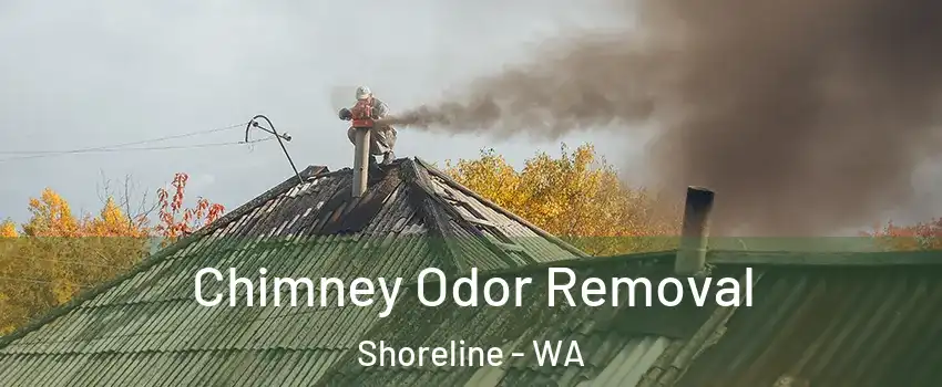  Chimney Odor Removal Shoreline - WA