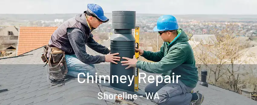  Chimney Repair Shoreline - WA