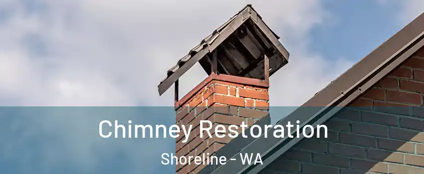  Chimney Restoration Shoreline - WA