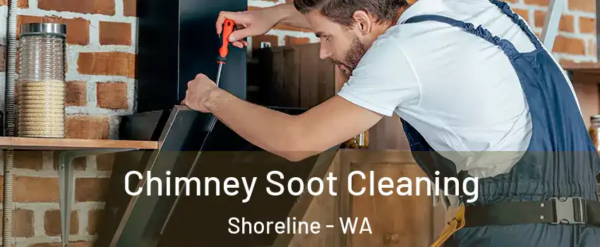  Chimney Soot Cleaning Shoreline - WA