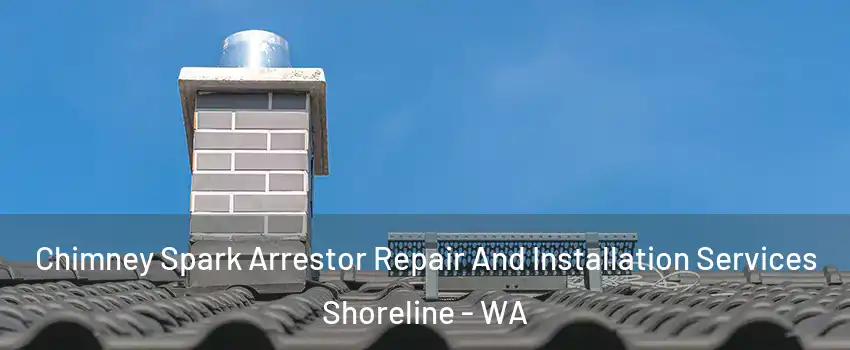  Chimney Spark Arrestor Repair And Installation Services Shoreline - WA