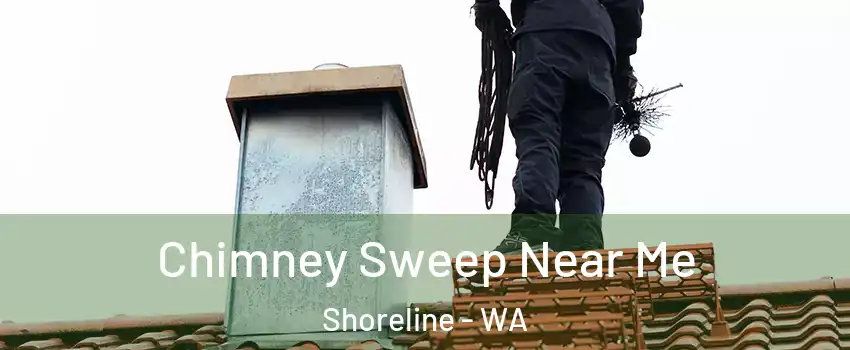  Chimney Sweep Near Me Shoreline - WA