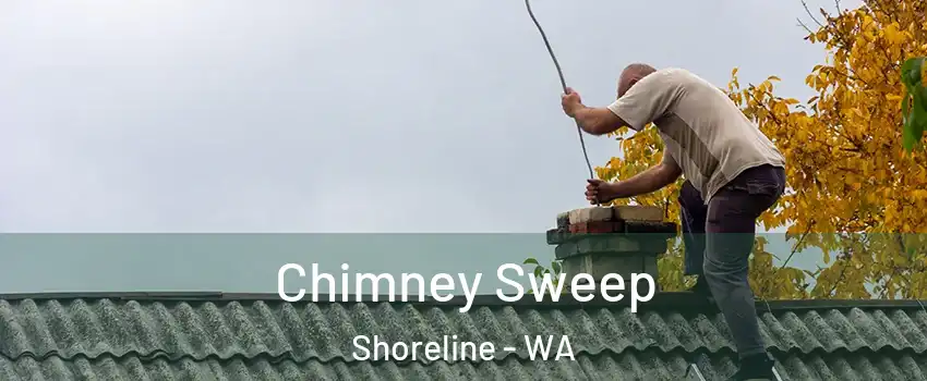  Chimney Sweep Shoreline - WA