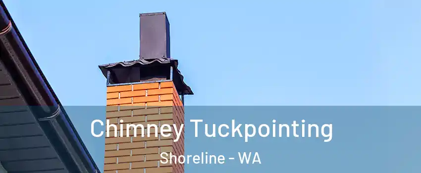  Chimney Tuckpointing Shoreline - WA