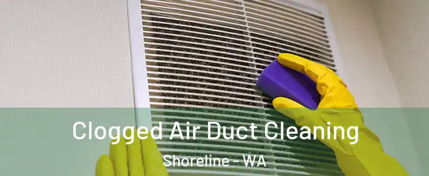  Clogged Air Duct Cleaning Shoreline - WA