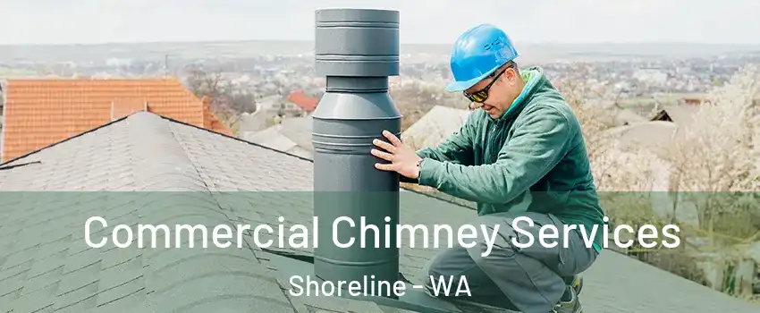  Commercial Chimney Services Shoreline - WA