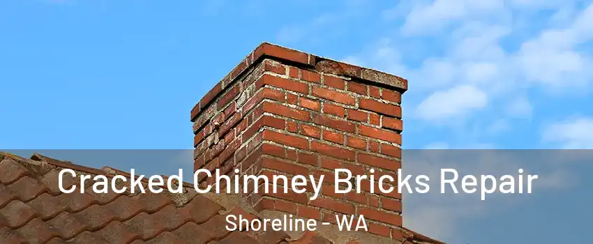  Cracked Chimney Bricks Repair Shoreline - WA