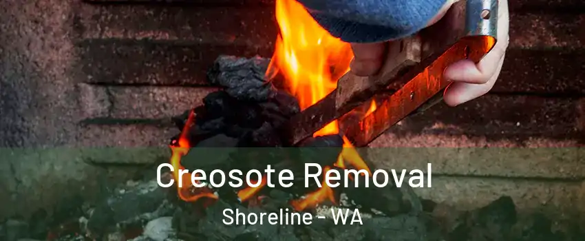  Creosote Removal Shoreline - WA