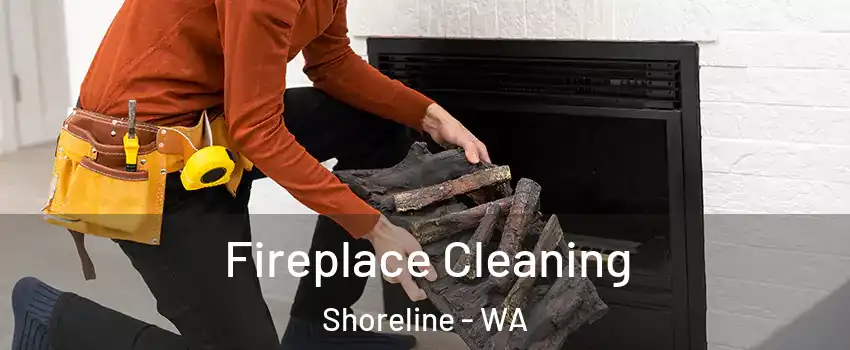  Fireplace Cleaning Shoreline - WA