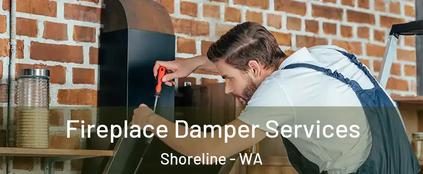  Fireplace Damper Services Shoreline - WA