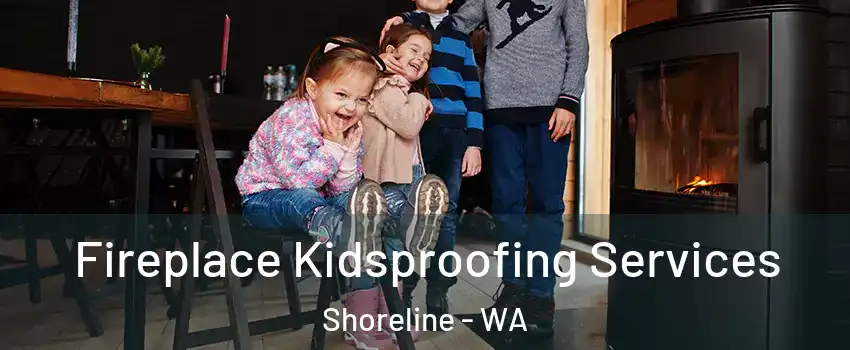  Fireplace Kidsproofing Services Shoreline - WA