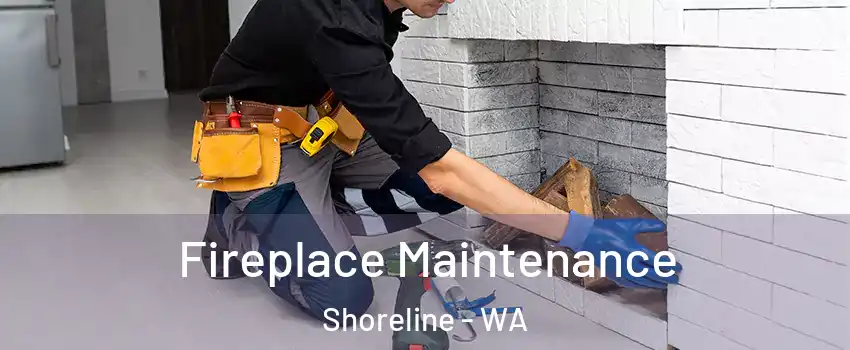  Fireplace Maintenance Shoreline - WA