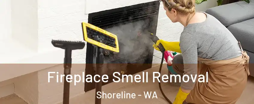  Fireplace Smell Removal Shoreline - WA