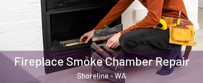 Fireplace Smoke Chamber Repair Shoreline - WA
