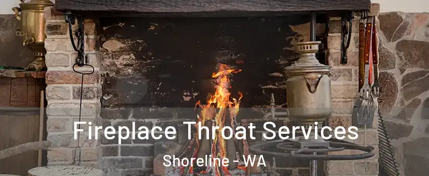  Fireplace Throat Services Shoreline - WA