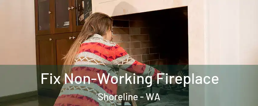  Fix Non-Working Fireplace Shoreline - WA