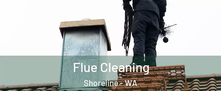  Flue Cleaning Shoreline - WA