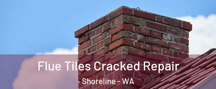  Flue Tiles Cracked Repair Shoreline - WA