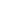 Professional Chimney Flue Installation in Shoreline, Washington