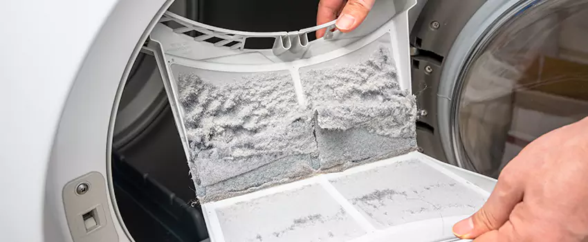Best Dryer Lint Removal Company in Shoreline, Washington