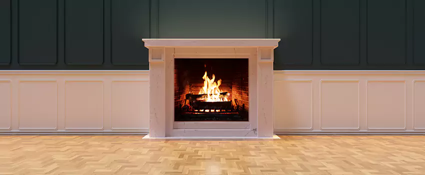 Napoleon Electric Fireplaces Inspection Service in Shoreline, Washington