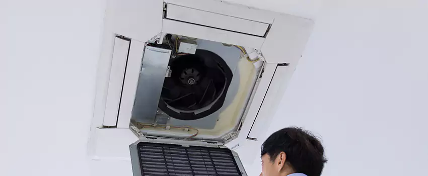 Benefits of Professional Air Duct Cleaning in Shoreline, Washington