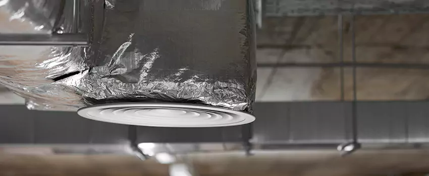 Signs of Dust Accumulation in Vents in Shoreline, WA