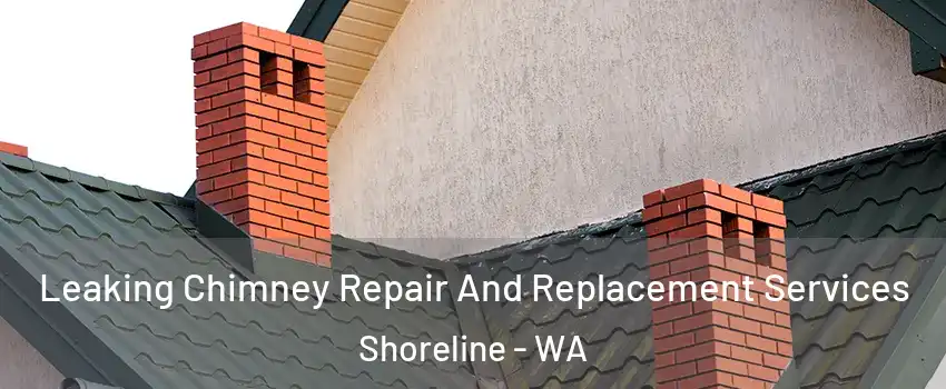  Leaking Chimney Repair And Replacement Services Shoreline - WA