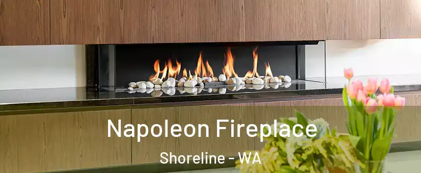  Napoleon Fireplace Shoreline - WA