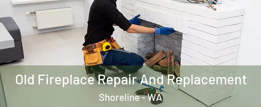  Old Fireplace Repair And Replacement Shoreline - WA