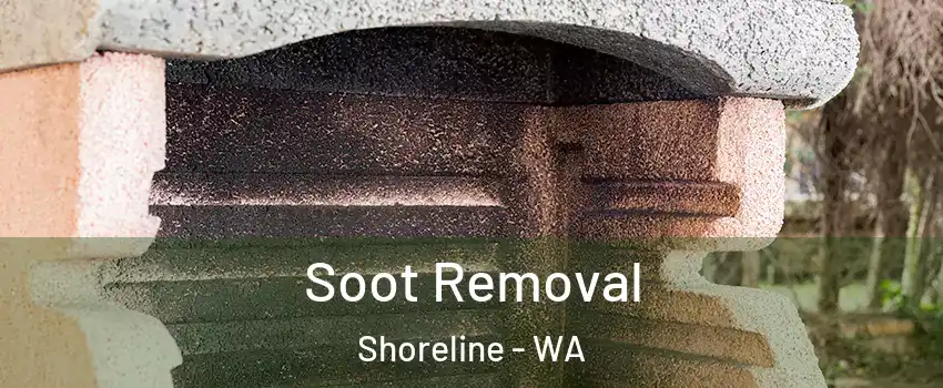  Soot Removal Shoreline - WA