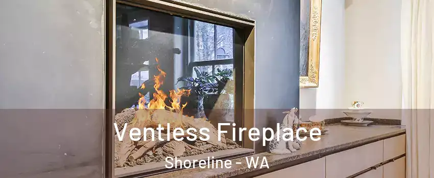  Ventless Fireplace Shoreline - WA